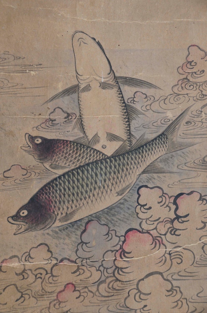 Eohaedo 作者 未知艺术家