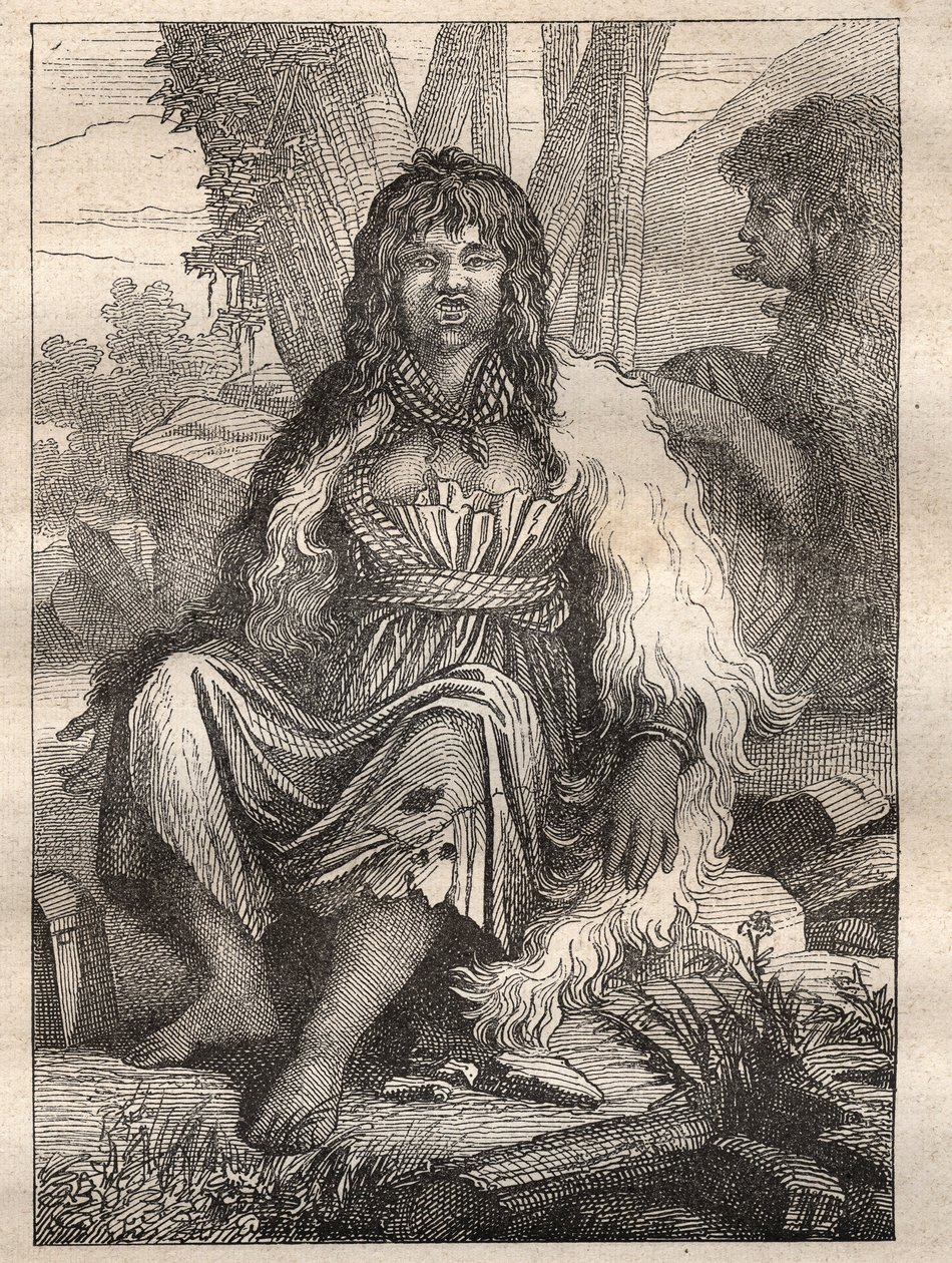 Jean Francois Galaup de La Perouse（1741-1788）的环球远征（1785-1788）：法国（阿拉斯加）港口的妇女类型--插图取自 "Les Grands Mariners du 18 century" 作者 未知艺术家