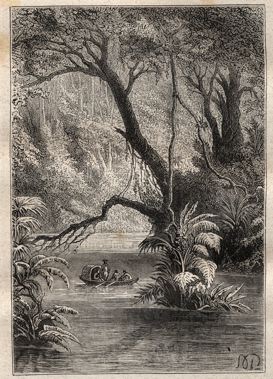 亚历山大-冯-洪堡（1769-1859）和艾梅-邦普朗（1773-1858）对美洲的考察（1799-1804）：探险家们从奥伦诺克河下来，周围是亚马逊森林的巨树（委内瑞拉卡诺-皮米钦）--插图来自《伟大的 作者 未知艺术家
