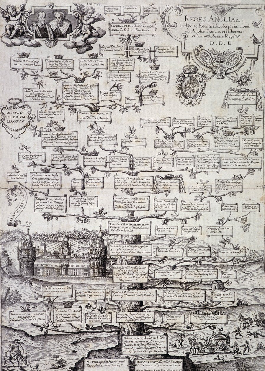 Family tree of the Royal Family of England from the 12th to the 17th century - engraving 作者 未知艺术家