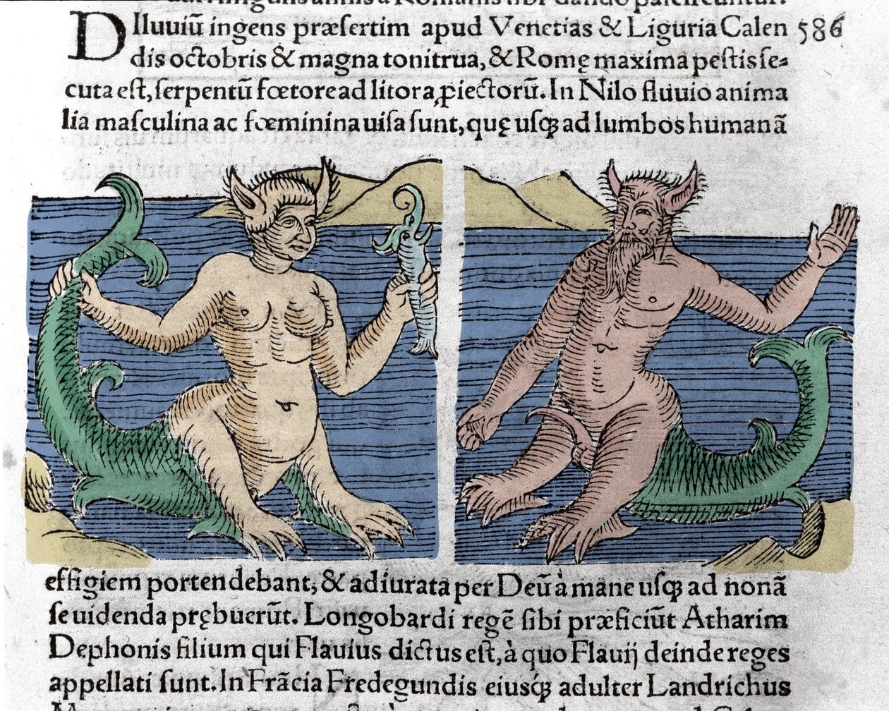 Fantastic creatures: A newt and a siren seen in the Nile. Engraving from “” Le livre des prodiges”” (Prodigiorum ac ostentorum Chronicon Basileae) by Wolfhart (Conrad Lycosthene) 1557 作者 未知艺术家