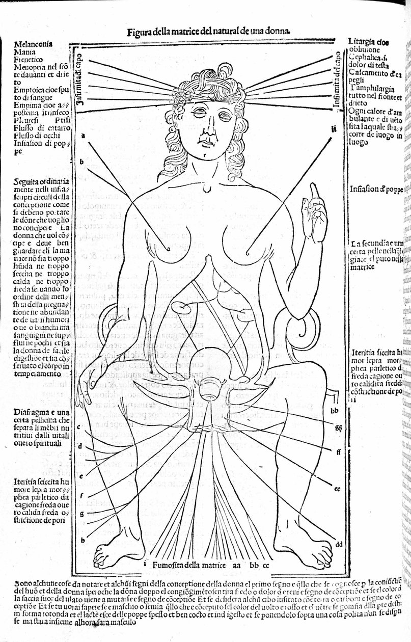 女性生殖器官--载于《医学论文》，作者是Gerolamo Cardano（卡达诺）（Cardanus Hieronymus），佛罗伦萨，1585年。 作者 未知艺术家