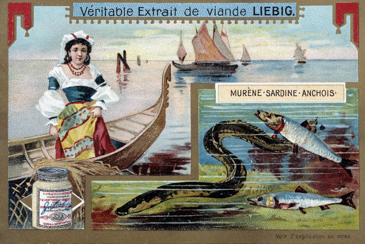 渔船和鱼（海鳗、沙丁鱼、鳀鱼）- chromo。 Liébig, v.1900 作者 未知艺术家