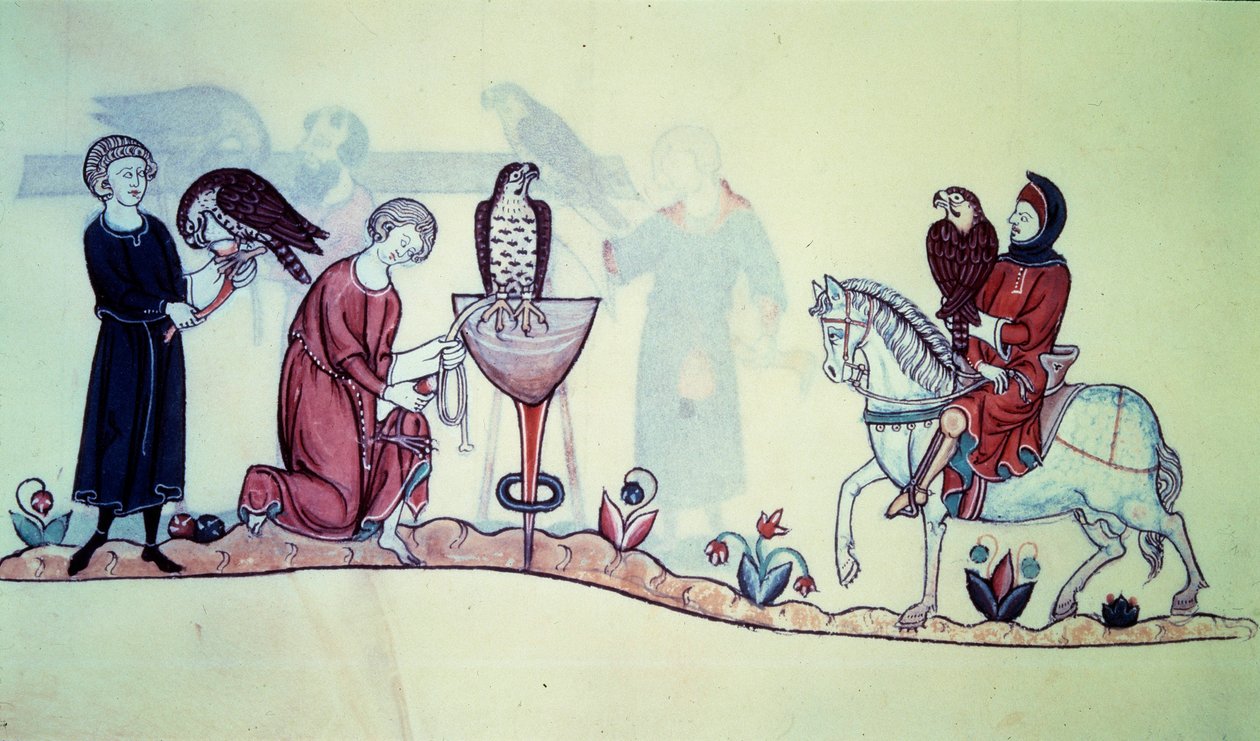 腓特烈二世 (1194 - 1250) 1212 年在位的德国皇帝。缩影来自 13 世纪的猎鹰。 巴黎。 BN 作者 未知艺术家