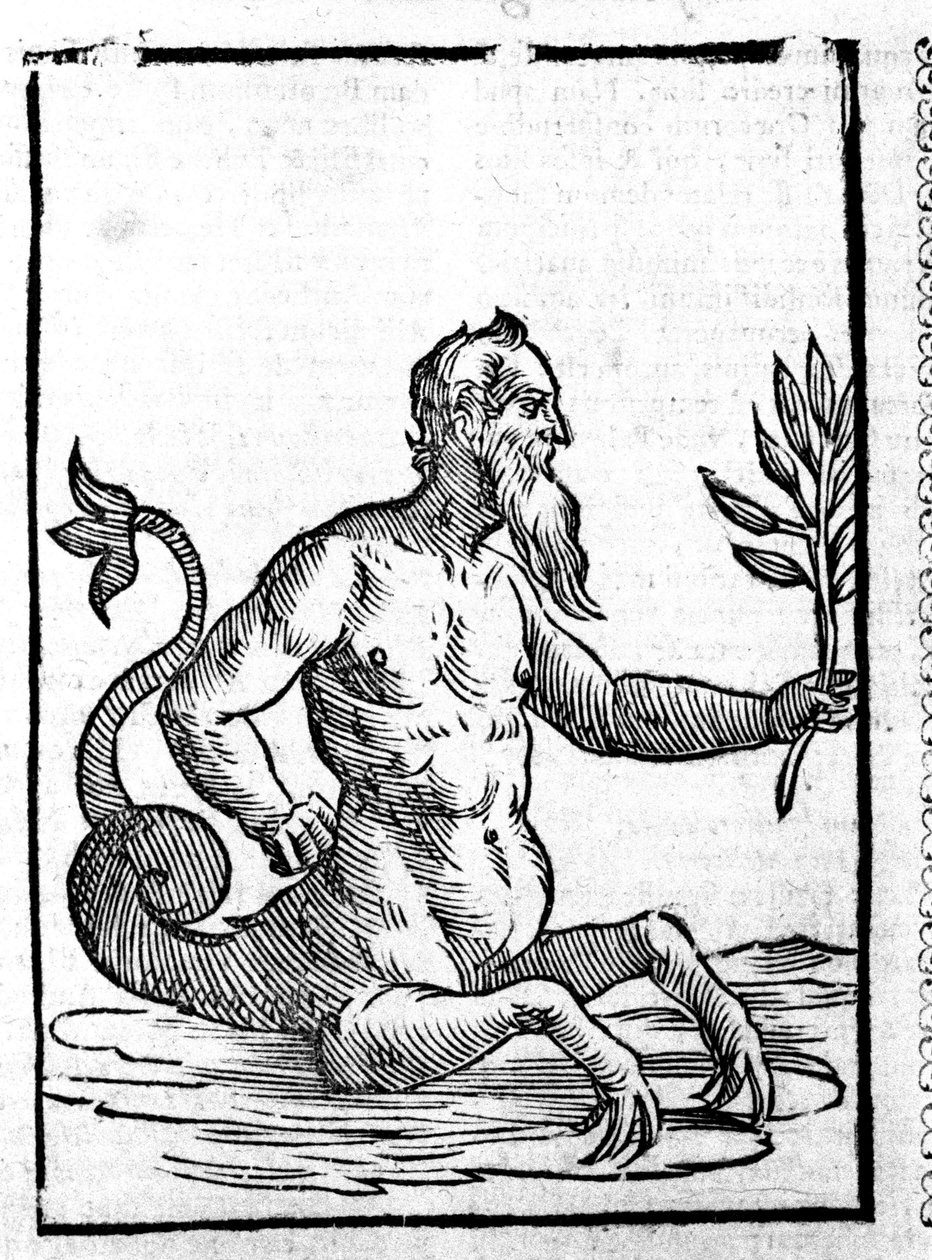 Glaucos带着能让他在海里生活的魔草--在Mythologiae sive explicationis fabularum de Natalis Comitis。Patavia 作者 未知艺术家
