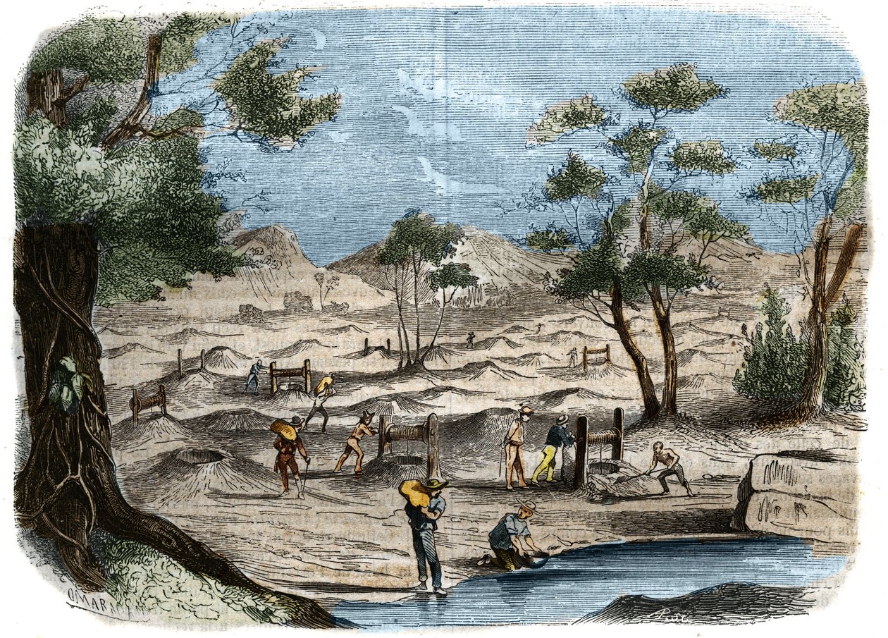 澳大利亚的淘金热：本迪戈市金矿区的探矿者的景象。1856年在 "Le Musee Des Sciences "的雕版画。 作者 未知艺术家