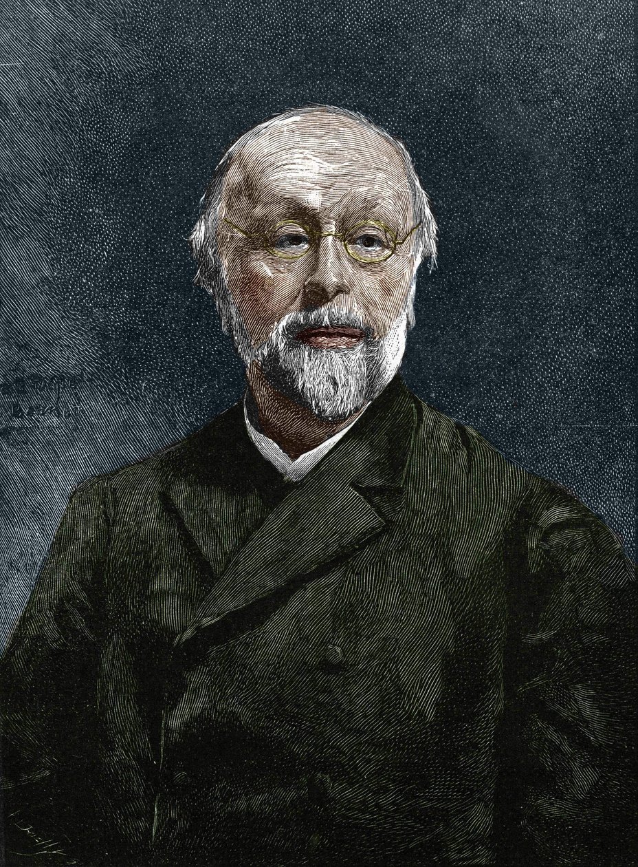 泰因（Hippolyte Taine）（1828-1893），法国哲学家和历史学家。 作者 未知艺术家