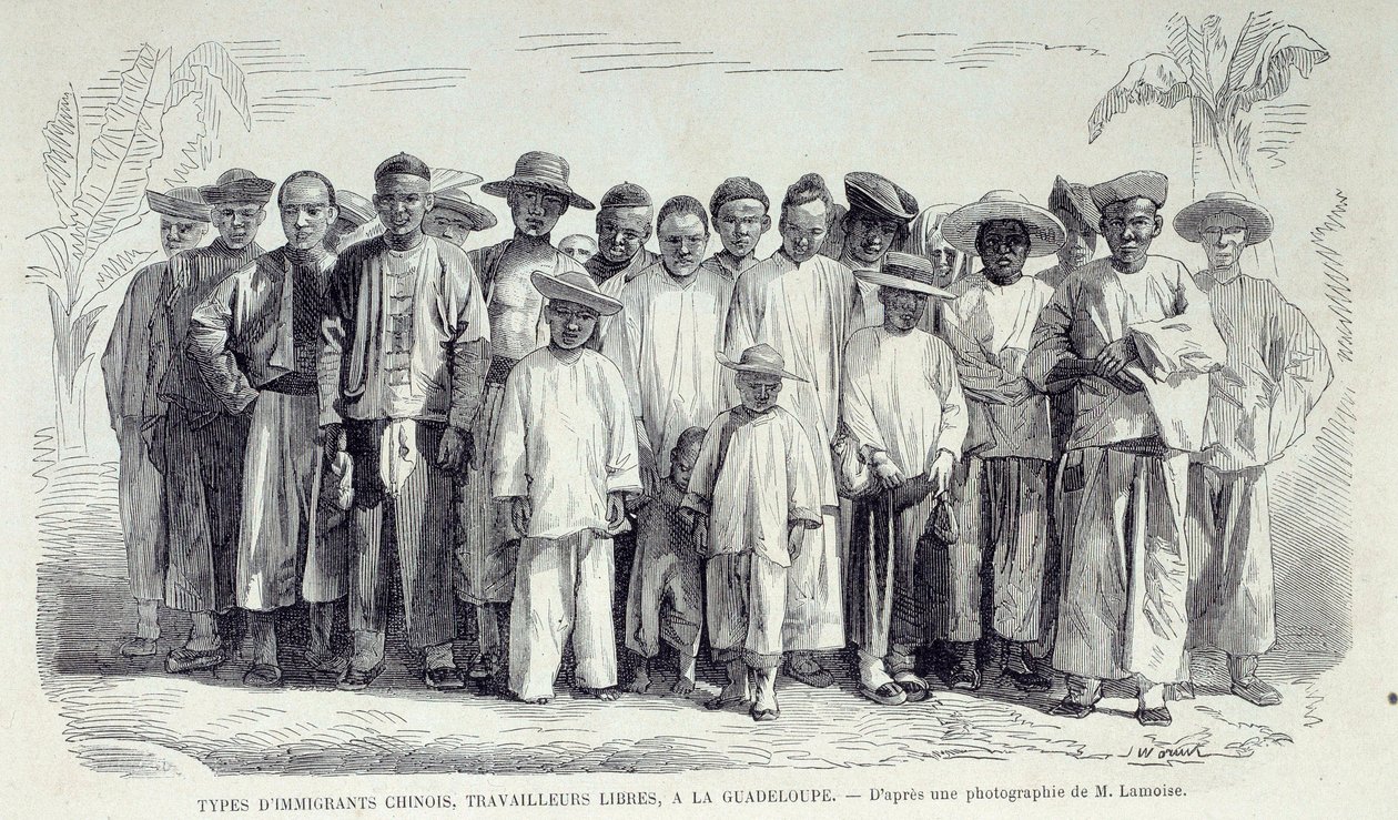 History of the French colonies: Chinese immigrants working in Guadeloupe. Drawing after photograph of the late 19th century Chartres musee des Beaux Arts 作者 未知艺术家