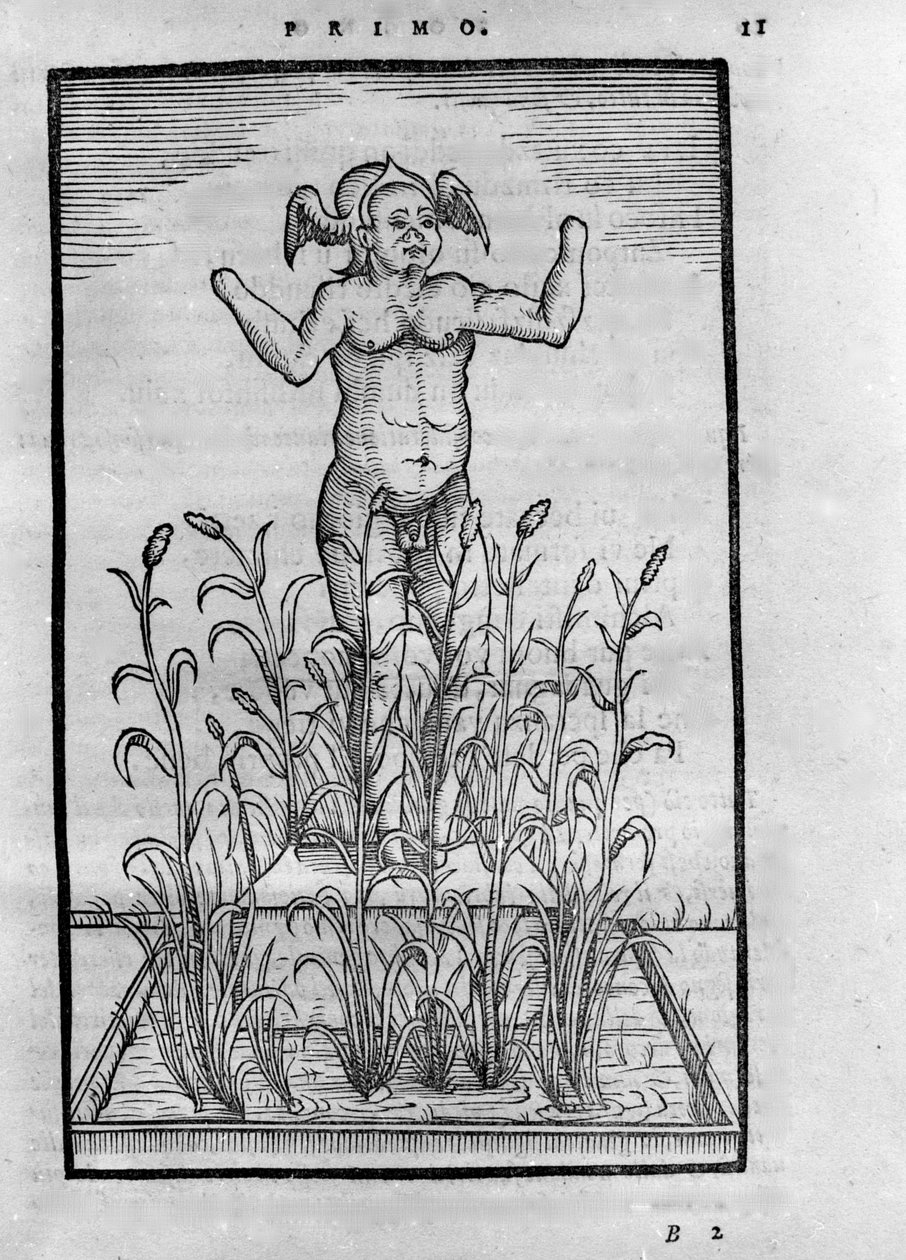 Homme sans bras - in “” De Transmutatione Metallica Sogni Tre ”，作者 Giovanni Battista Nazari，1599 年在布雷西亚编辑 作者 未知艺术家