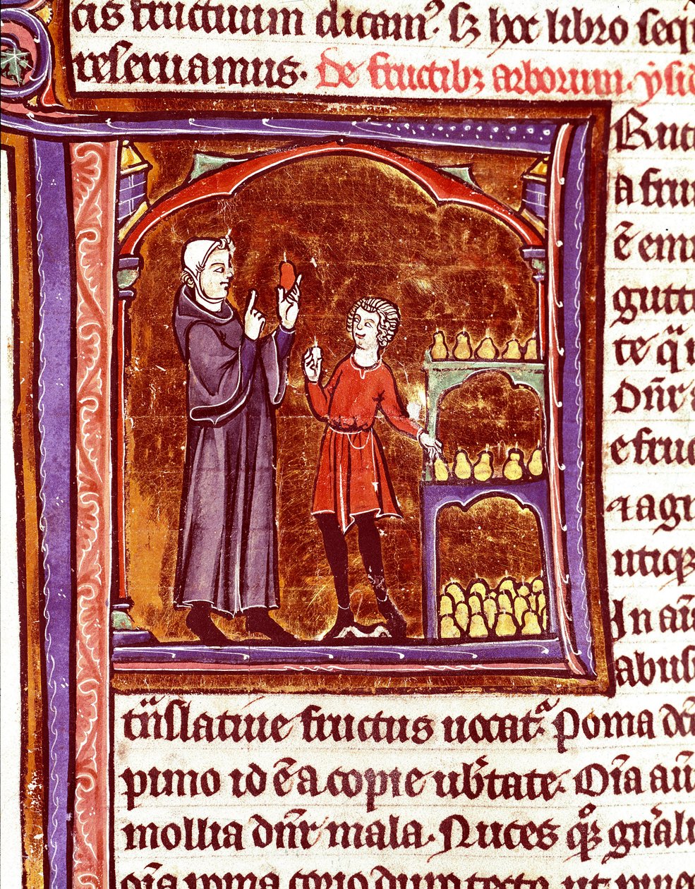 如何储存梨 文森特·德·博韦 (Vincent de Beauvais) (1184/94-1264) 手稿“Speculum historiale”（Le Mirror historial）中的缩影，13 世纪 Laon，市立图书馆 作者 未知艺术家