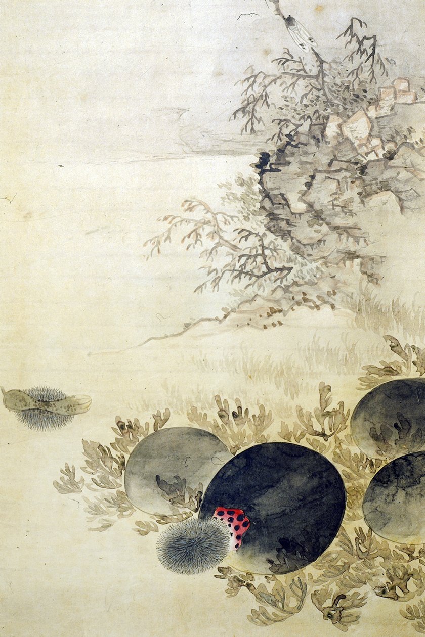 花园岛 作者 未知艺术家