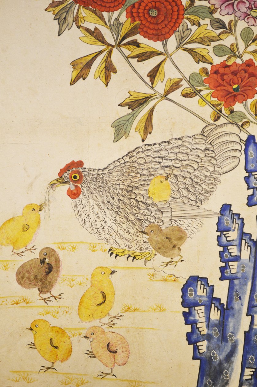 花园岛 作者 未知艺术家