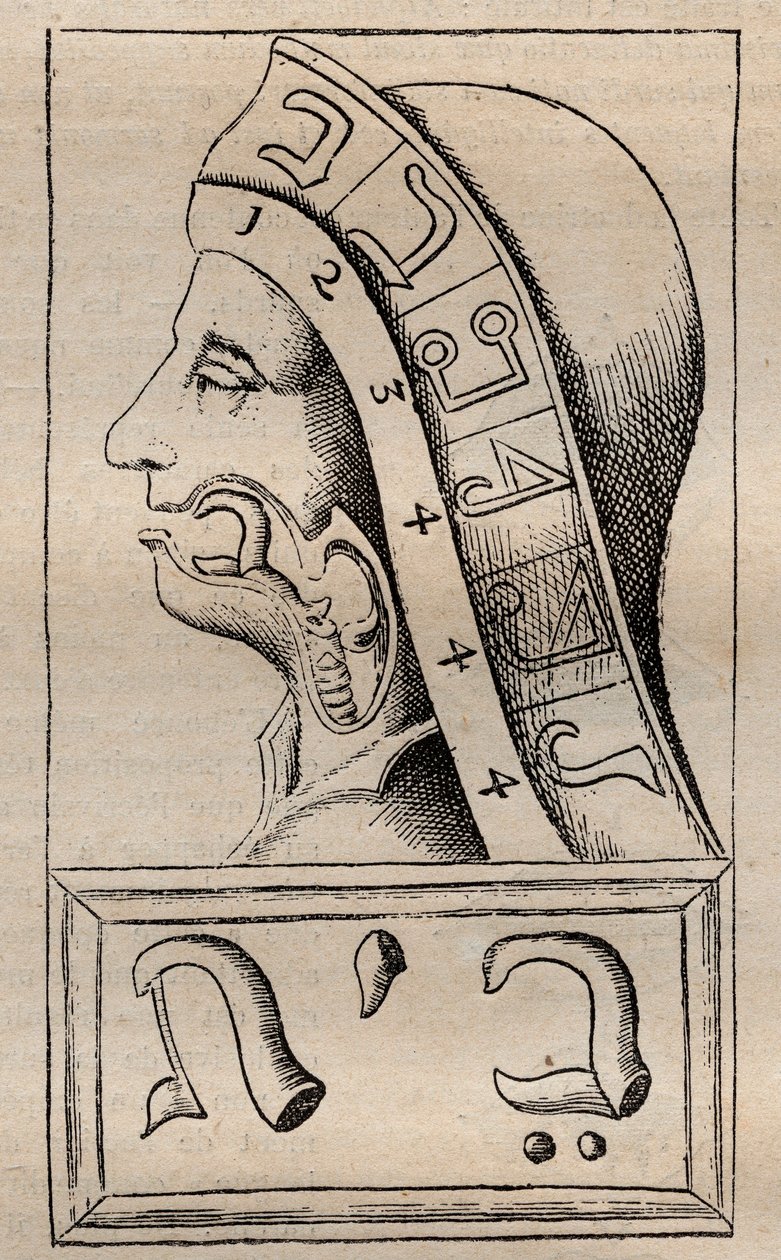 插图来自：Franciscus Mercurius van Helmont（1618-1699）的 "Alphabeti vere naturalis Hebraici brevissima delineatio"（自然的字母表）（Francois Mercure Van Helmont声称，希伯来字母表的每个字母（被认为是原始的 作者 未知艺术家