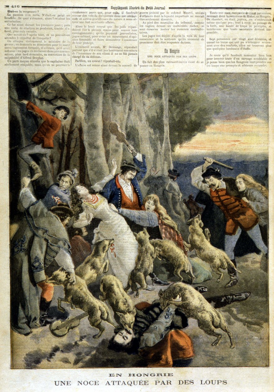 在匈牙利：一场被狼袭击的婚礼——在 1894 年 12 月 23 日的“Le Petit Journal”中 作者 未知艺术家