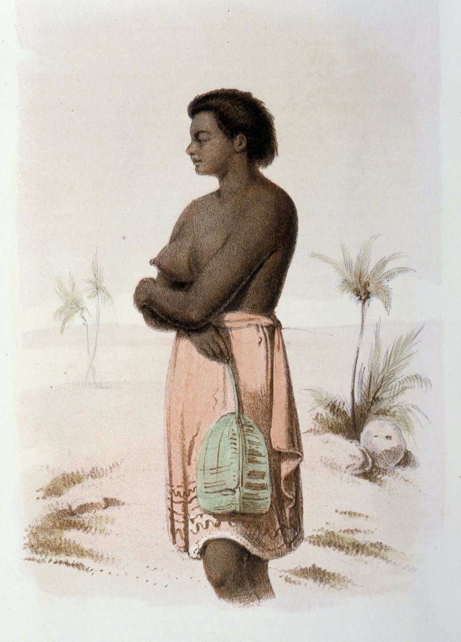 土著汤加大洋洲 - 在 Skogman Carl Johan Alfred 编着的“第一次瑞典环游”中。 斯德哥尔摩，阿道夫·邦尼尔 作者 未知艺术家
