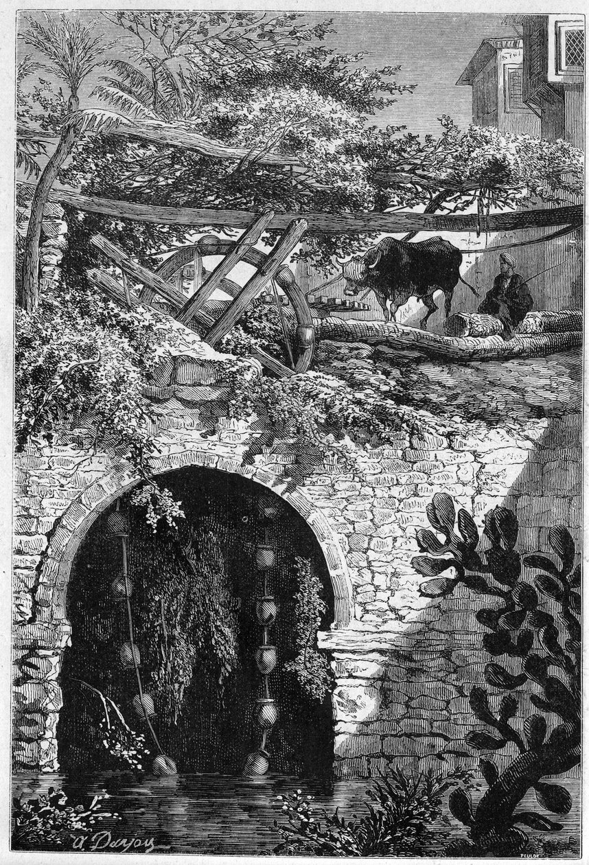 埃及的灌溉：一头牛转动着一个轮子，轮子上缠着水桶。雕刻于1882年5月27日的《世界画报》第1313期。 作者 未知艺术家