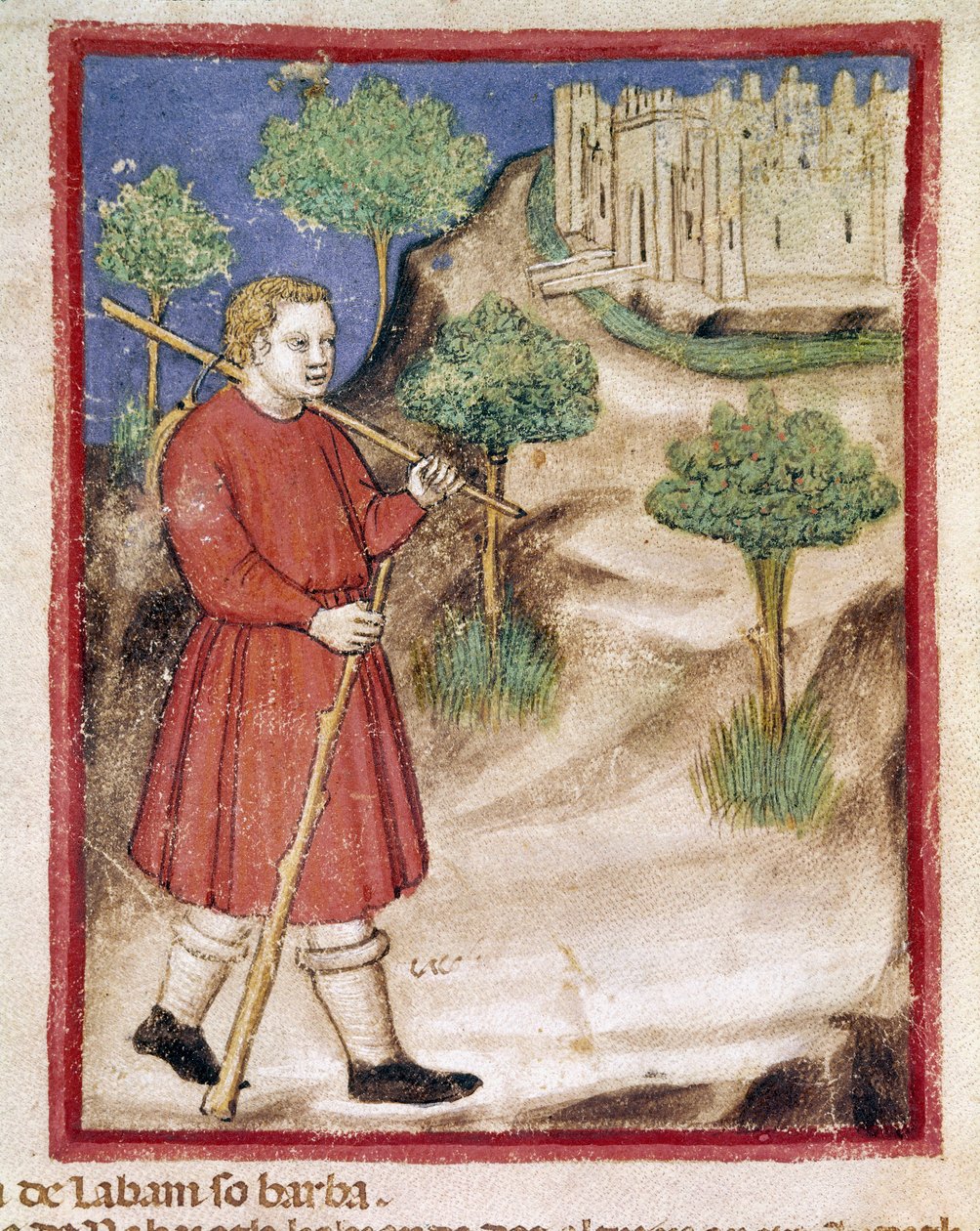 雅各布从手抄本 212（或帕多瓦诺或帕多瓦圣经）1390-1400 Rovigo, Accademia dei Concordi 前往美索不达米亚缩影中的拉班 作者 未知艺术家