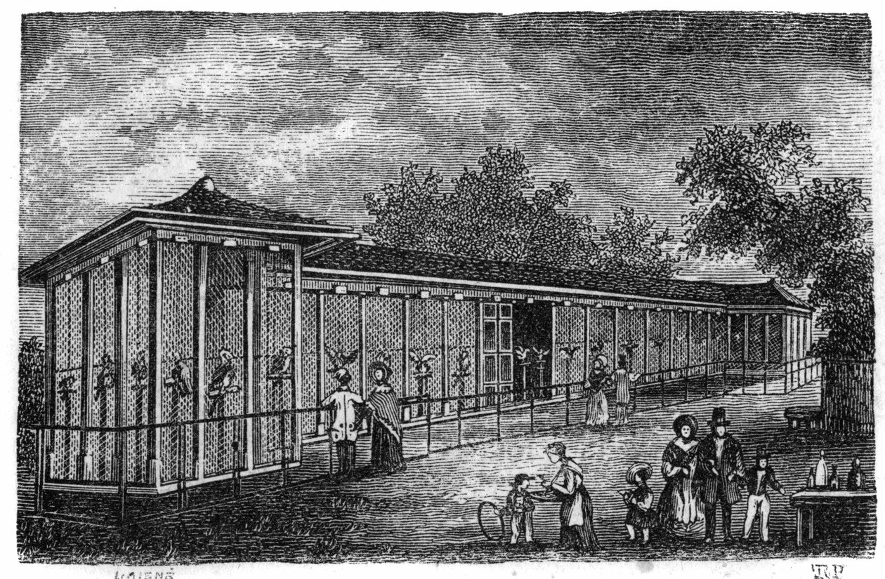 1861年在巴黎的植物园：猎鹰。 作者 未知艺术家