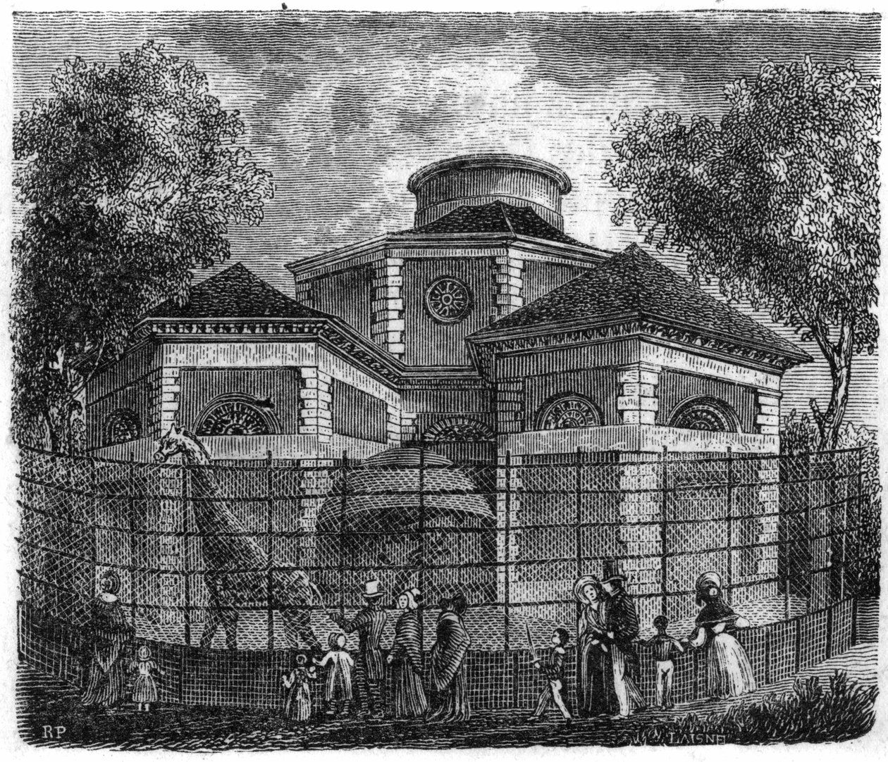 1861年的巴黎植物园：大象和长颈鹿的圆形大厅。 作者 未知艺术家