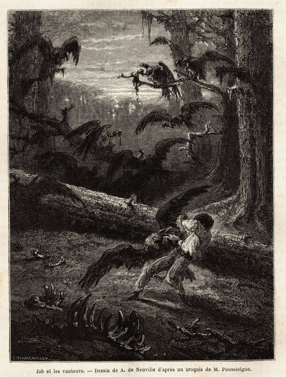 Job (travel companion of the redactor), attacked by vultures. Engraving to illustrate the story Quatre mois en Florida, by M. Pousselgue, in 1851-1852, published in “” le tour du monde””, under the direction of D