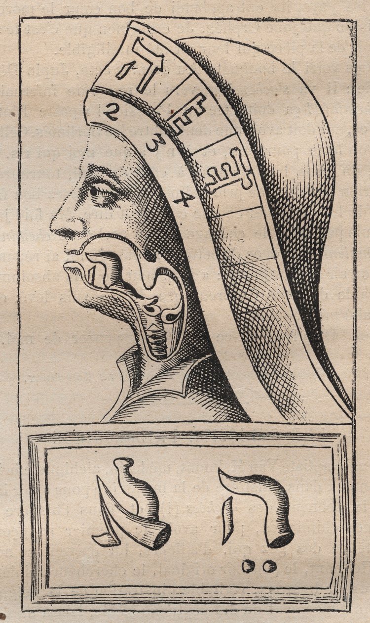 Kabbalah - Kabbalale - 插图来自：Franciscus Mercurius van Helmont (1618-1699) (Francois Mercure Van Helmont)的 "Alphabeti vere naturalis Hebraici brevissima delineatio"（自然的字母表） - 在这部作品中，van Helmont声称每个字母 作者 未知艺术家
