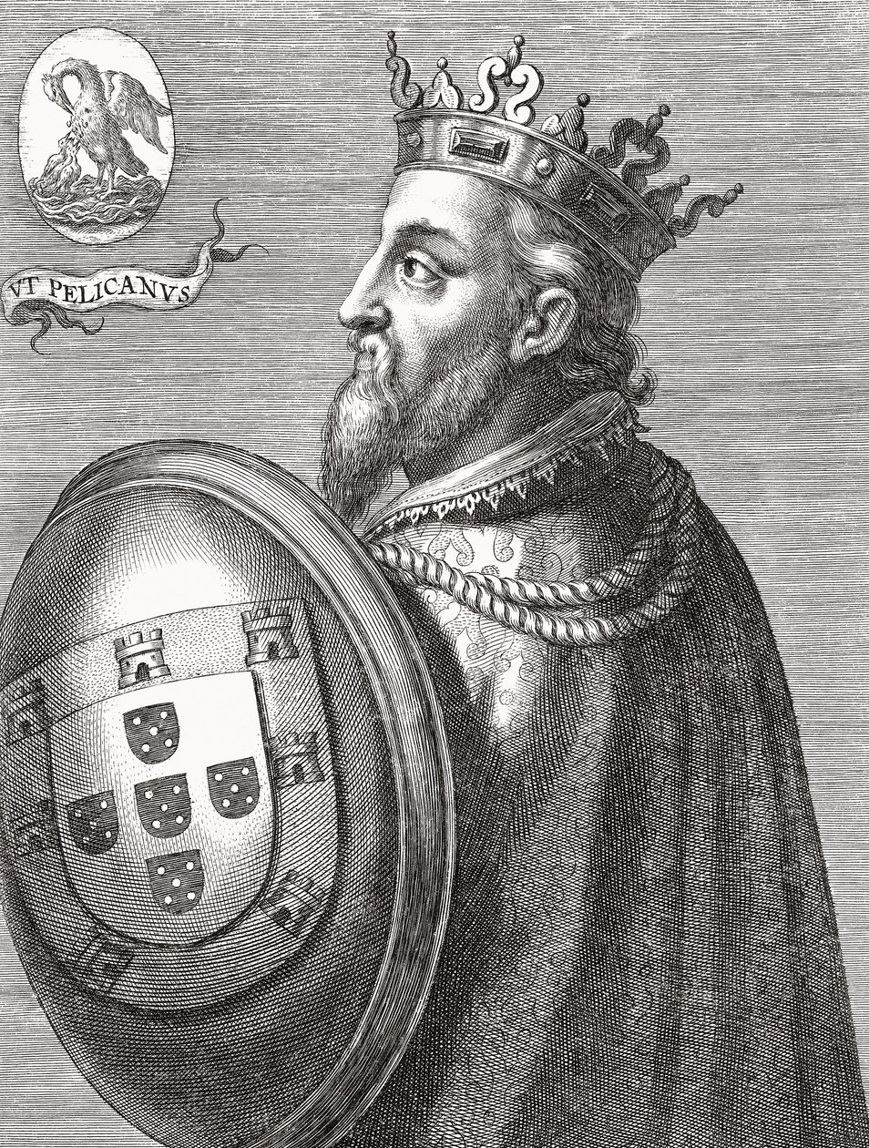 King John II of Portugal. João II. Portrait. 作者 未知艺术家