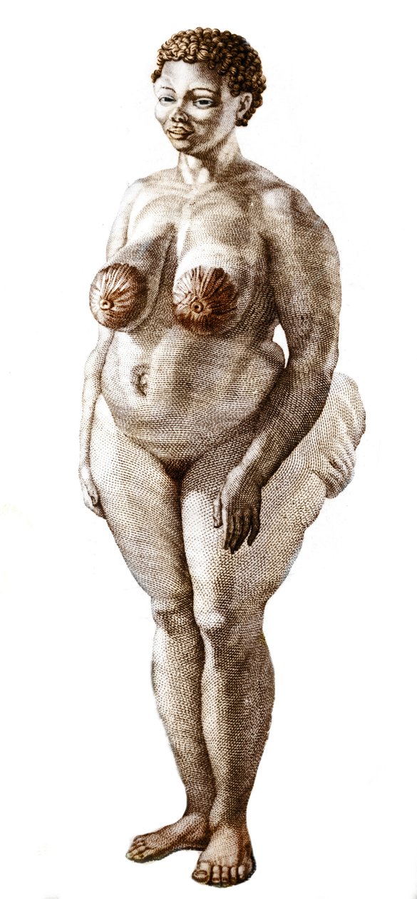 La Venus Hottentote, broad Bochiman的女人（Hottentot维纳斯），1815年的雕刻。 作者 未知艺术家
