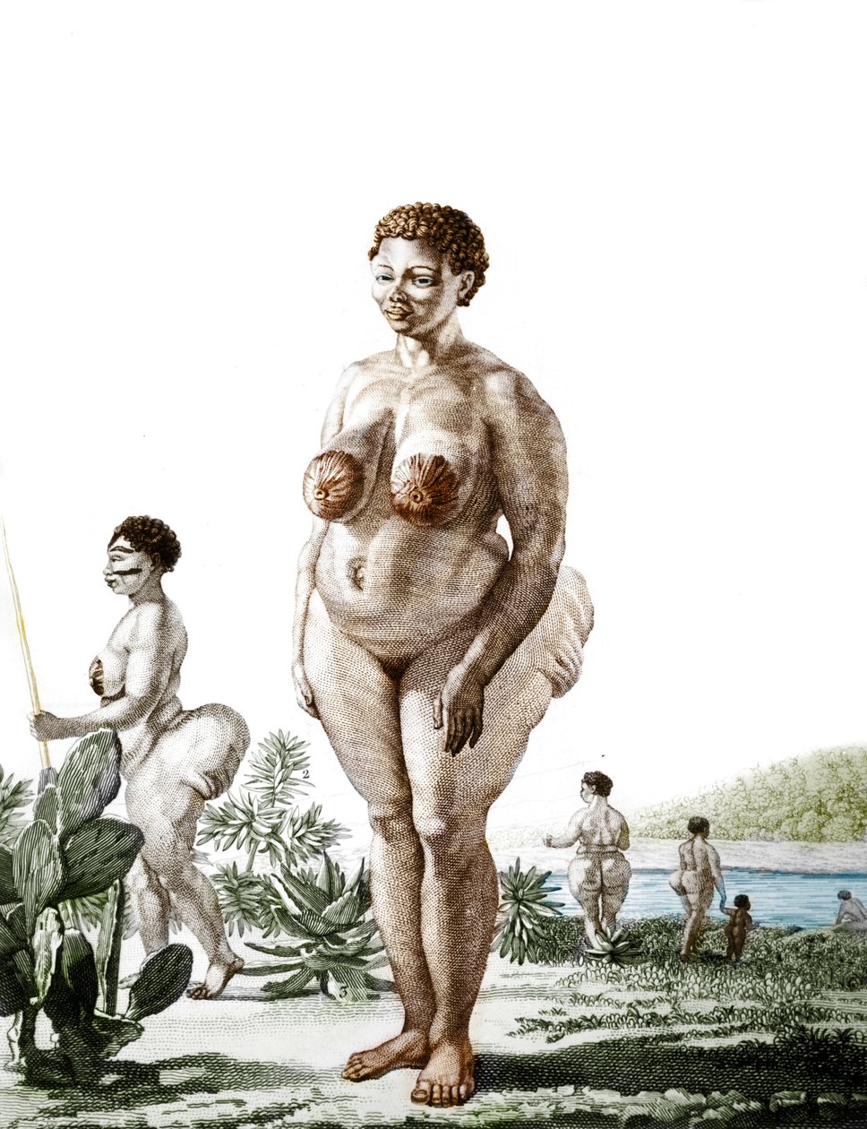 La Venus Hottentote, broad Bochiman的女人（Hottentot维纳斯），1815年的雕刻。 作者 未知艺术家