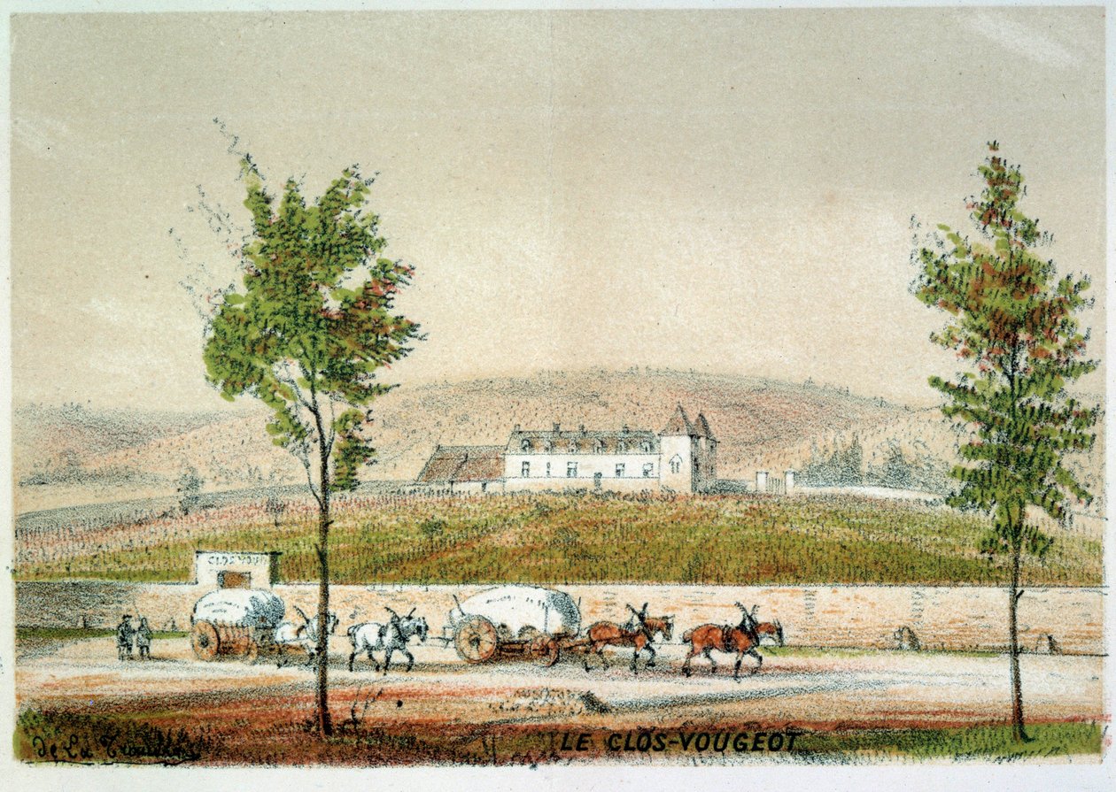 Le clos Vougeot, vineyard of Cote d