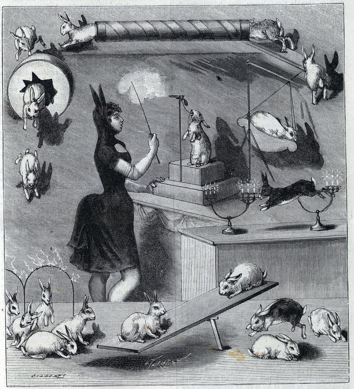 Les rabbits dresses du Nouveau Cirque in Paris: 穿着兔子服装的tampter在教动物的不同数字。1890年 "自然 "杂志上的版画。私人收藏。 作者 未知艺术家