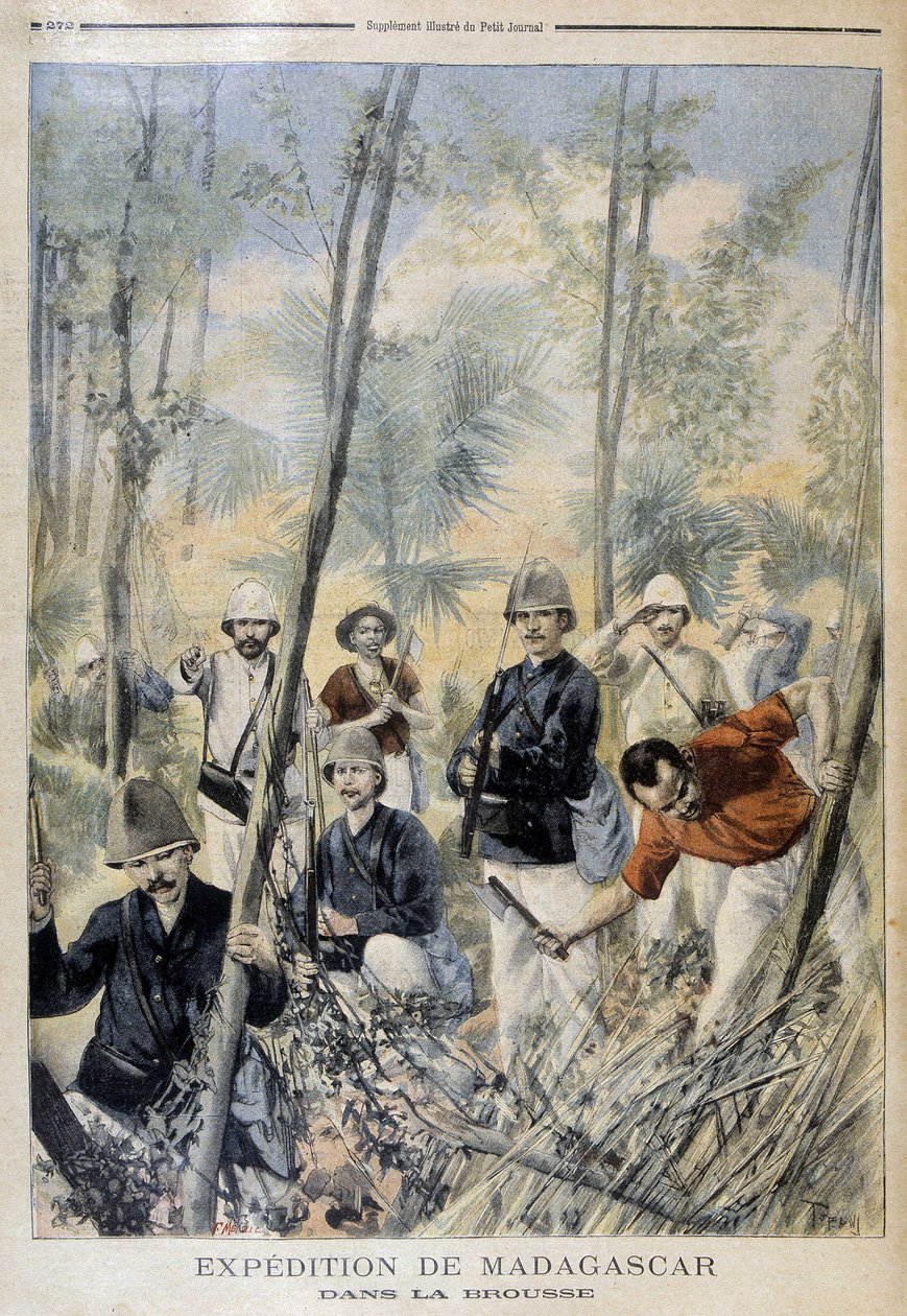 马达加斯加远征队：在丛林中--载于《小报》，1895年8月 作者 未知艺术家