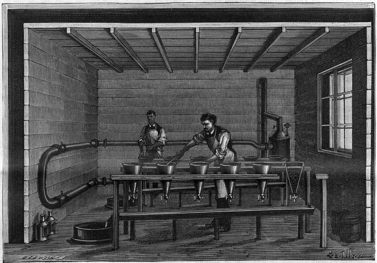 制造凡士林。黑色动物上的过滤装置的安排。1885年的雕版画。 作者 未知艺术家