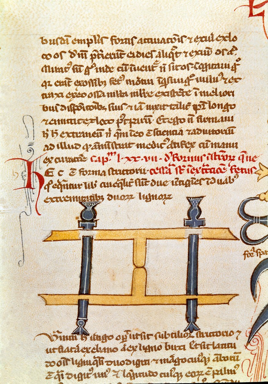 Guillaume de Salicet (Guglielmo da Saliceto) (1207-1270) 僧侣和医生的 "外科手术 "手稿页（MS LAT.VII XXXII-3023）。14世纪威尼斯马尔奇纳图书馆 作者 未知艺术家
