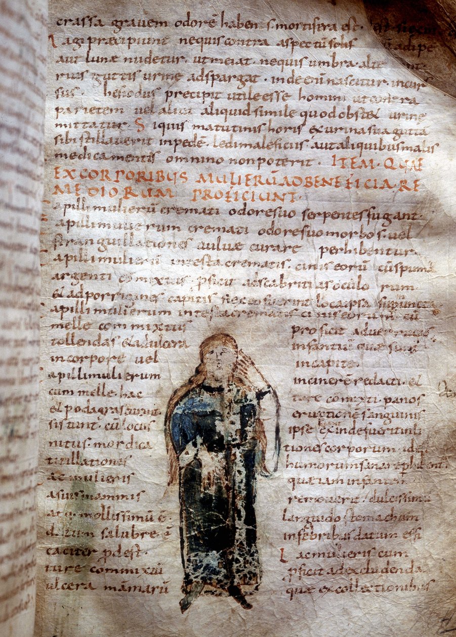 手稿页来自“”单一成分“”克劳德·盖伦（Galen or Klaudios Claudius Galen or Galen or Galen, p. 131 - p. 201）。 8 或 9 世纪。 卢卡政府。 作者 未知艺术家