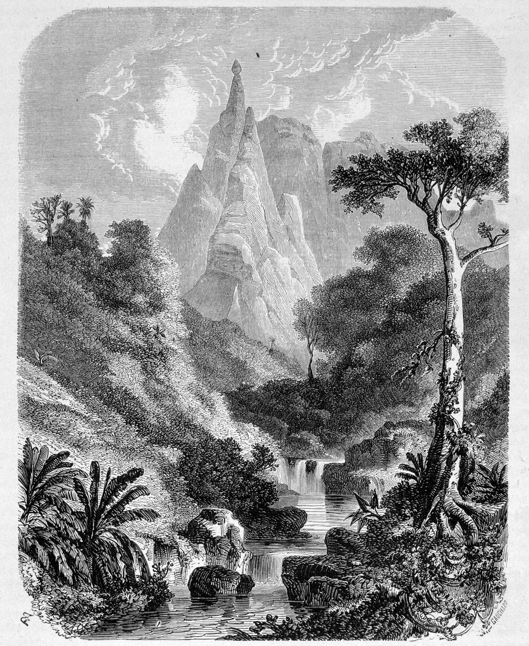 毛里求斯：Peter-Booth - 在“Le Tour du Monde”中，1861 年第 2 周 作者 未知艺术家