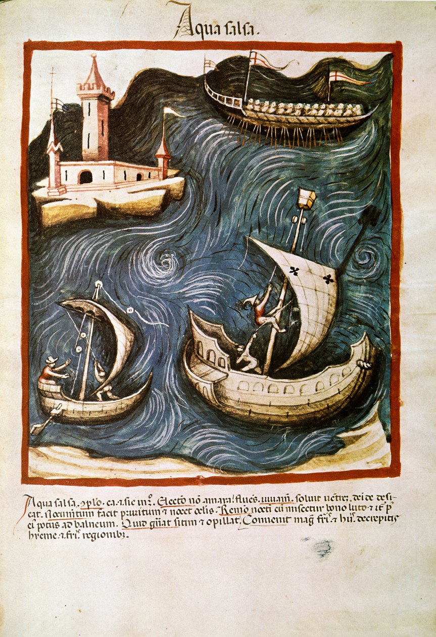 医药贸易：“盐水””页面取自“”Tacuinum sanitatis”（Cod. ser. 11 月 2644）约 1400 年维也纳，Osterreischische Nationalbibliothek 作者 未知艺术家