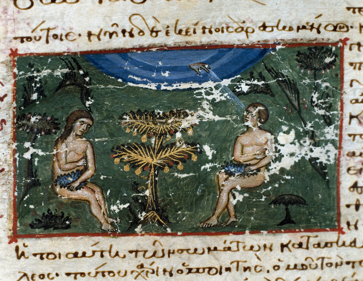 来自“Codex de l