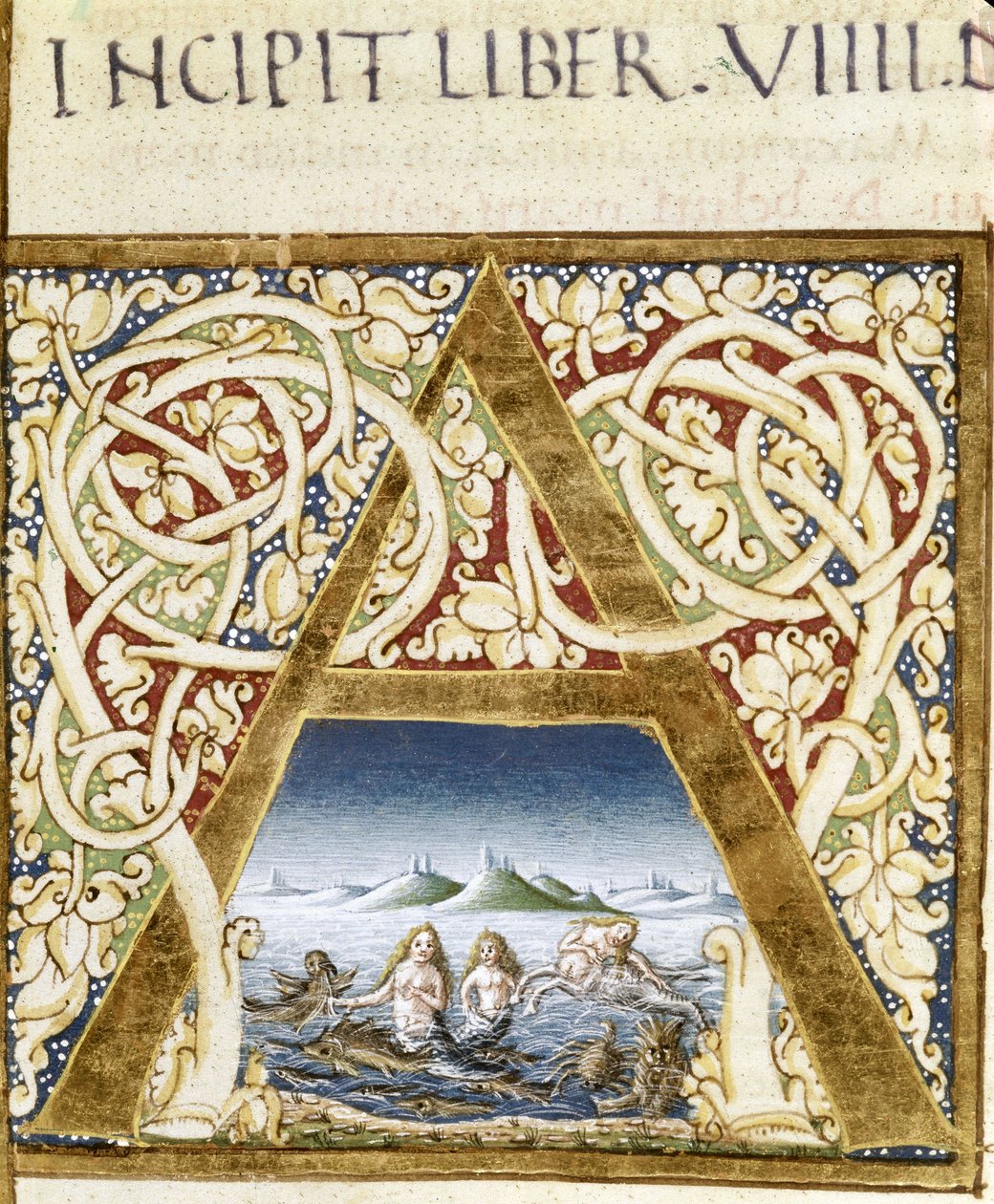 代表警报器的微型模型。 Lettrine "" A" - in "" Naturalis Historiae"" by Pliny the Ancian (23 - 79), ed。 1480.维多利亚和阿尔伯特图书馆 作者 未知艺术家