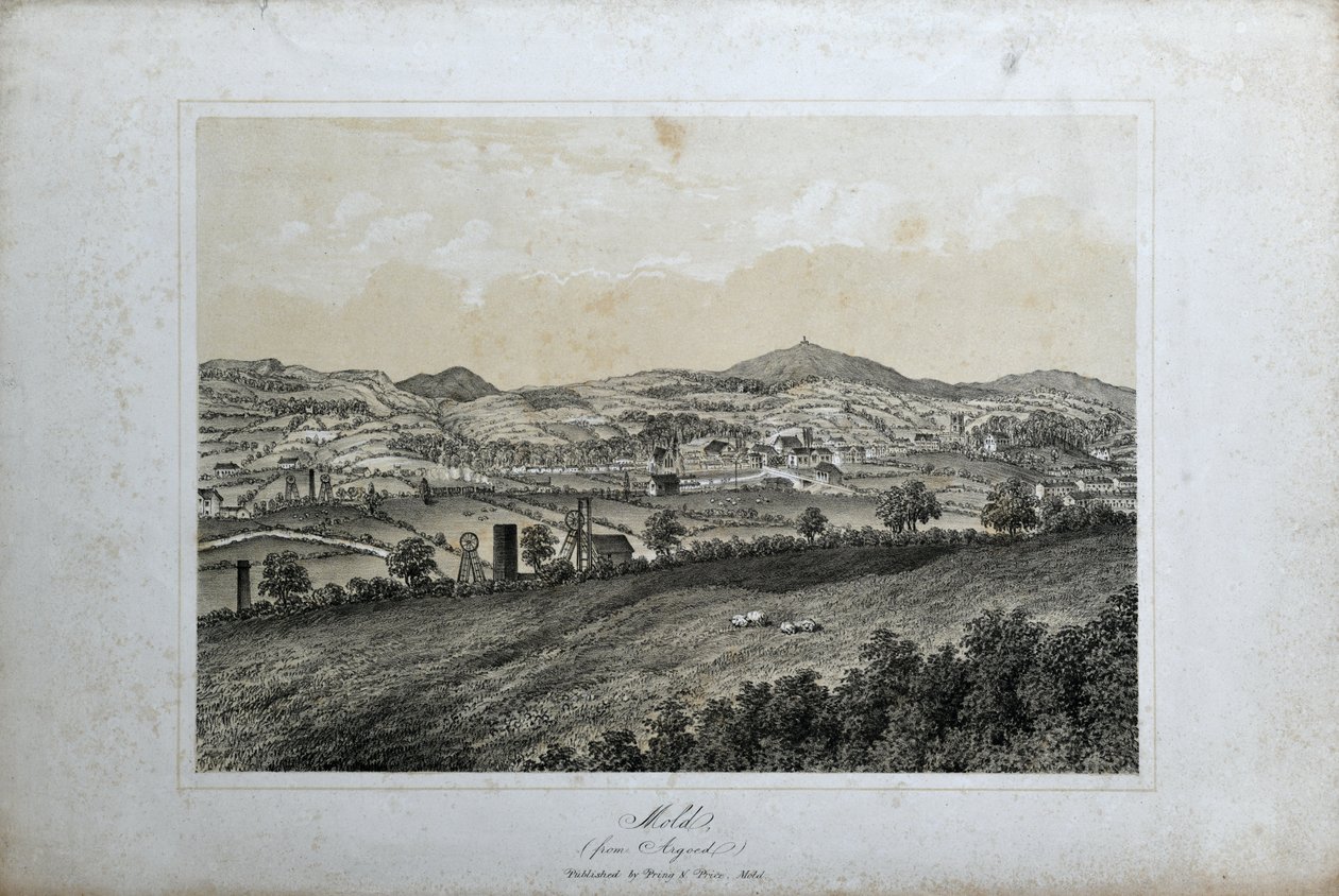 模具（来自阿尔戈德），约 1850 年（纸质石版画） 作者 未知艺术家