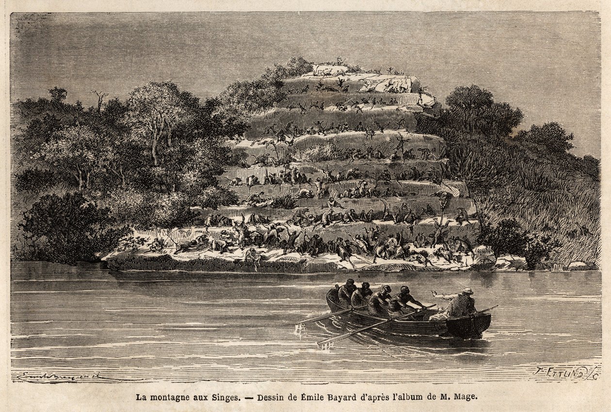 猴山，沿塞内加尔河，在古伊纳瀑布后不久（马里）。描绘马奇中尉1863年至1866年期间在苏丹西部航行的故事的版画，发表在 "世界之旅，新航行杂志 "下。 作者 未知艺术家