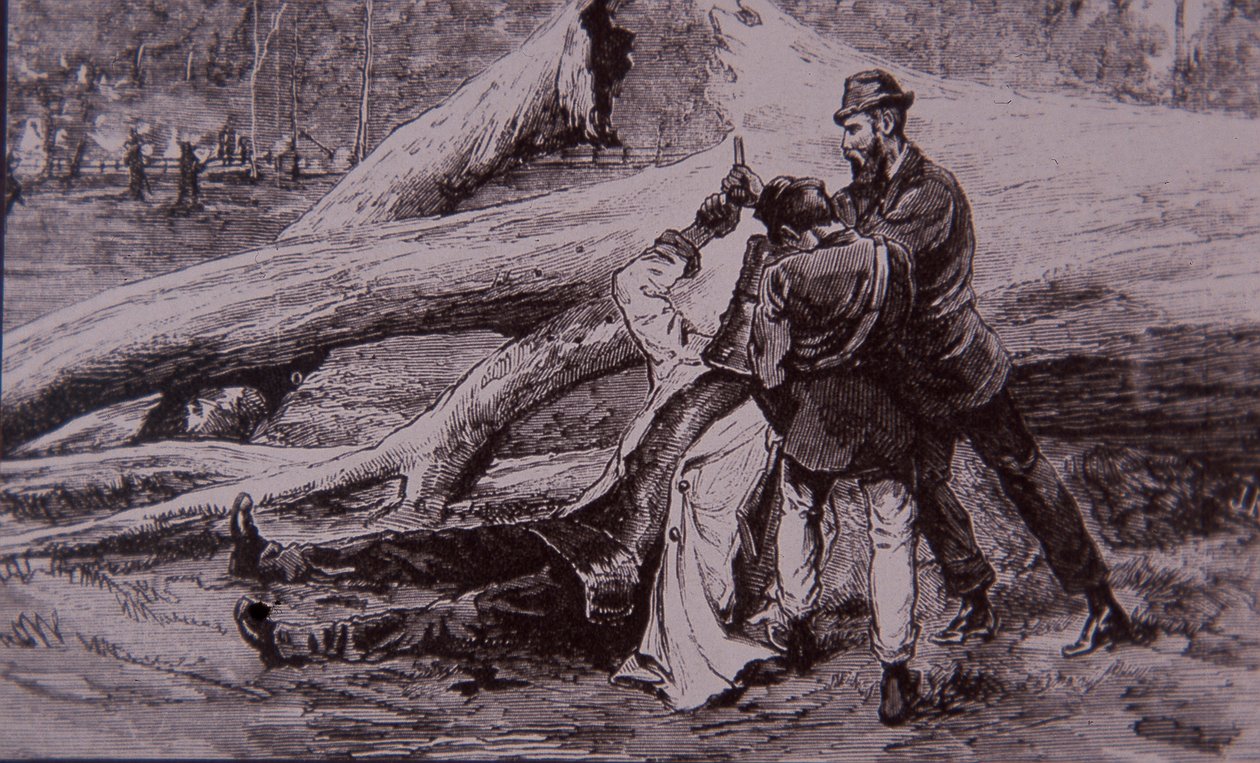内德-凯利被警察凯利和铁路工人杰西-道赛特抓获，1880年6月28日（雕刻）。 作者 未知艺术家