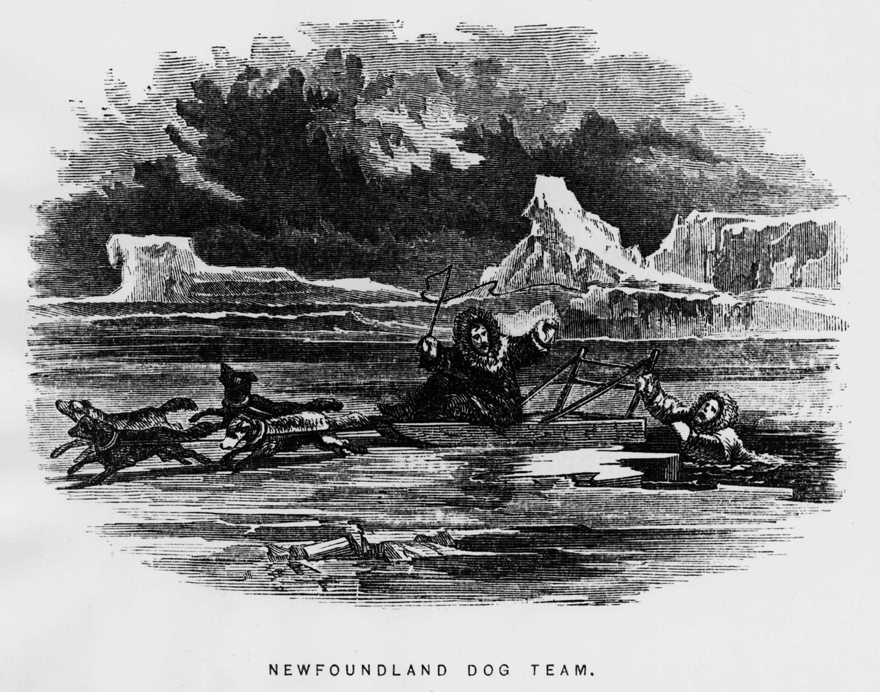 北极：雪橇犬盘旋着一个人掉进了冰里--艾利沙-肯特-凯恩，《1853-1855年的艺术探索》，费城，Childs和Peterson出版社 作者 未知艺术家