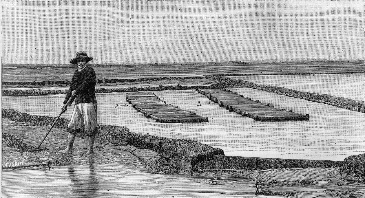 牡蛎养殖--阿卡松盆地的牡蛎养殖（1894年）：牡蛎公园的概貌。A, A: 救护车或嗜牡蛎的箱子。(来自一张照片)。雕刻于《自然：科学与艺术应用杂志》（La Nature: revue des sciences et de leurs applications aux arts et a l