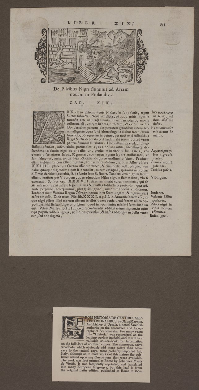 奥劳斯·马格努斯（Olaus Magnus）的《北方描述》中的页面 作者 未知艺术家