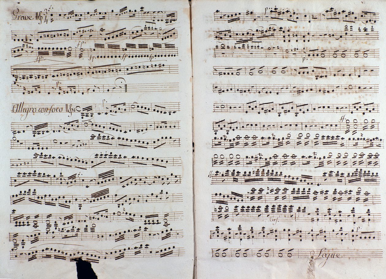 克里斯蒂安·卡纳比奇的“大交响曲”乐谱页 作者 未知艺术家