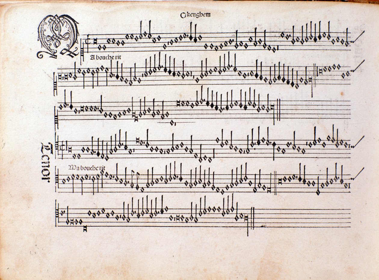 Ottaviano Petrucci (1501) 和声音乐 Odhecaton 的乐谱页面 作者 未知艺术家