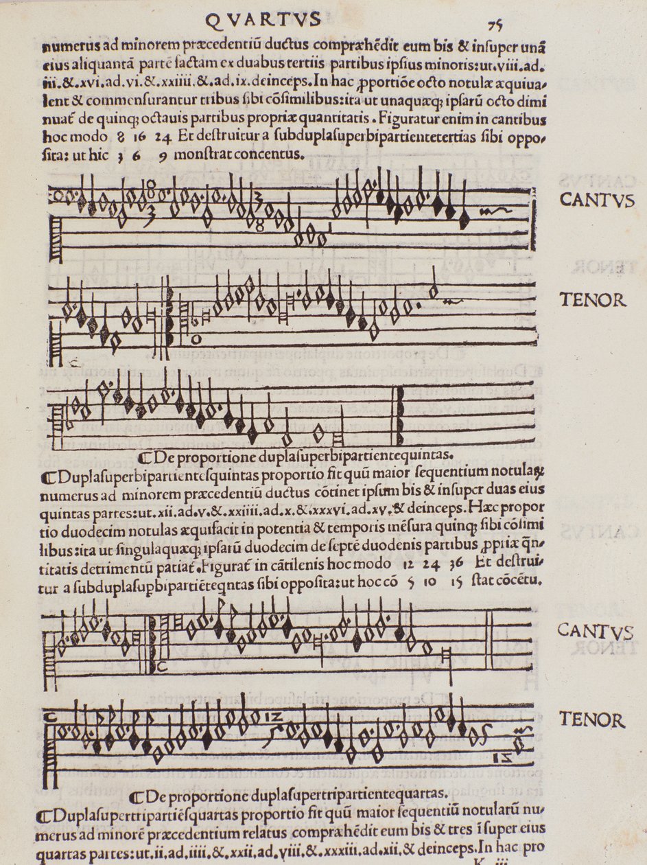 本页摘自弗兰奇诺-加弗里奥的《音乐实践》（Practica Musicae）。 作者 未知艺术家