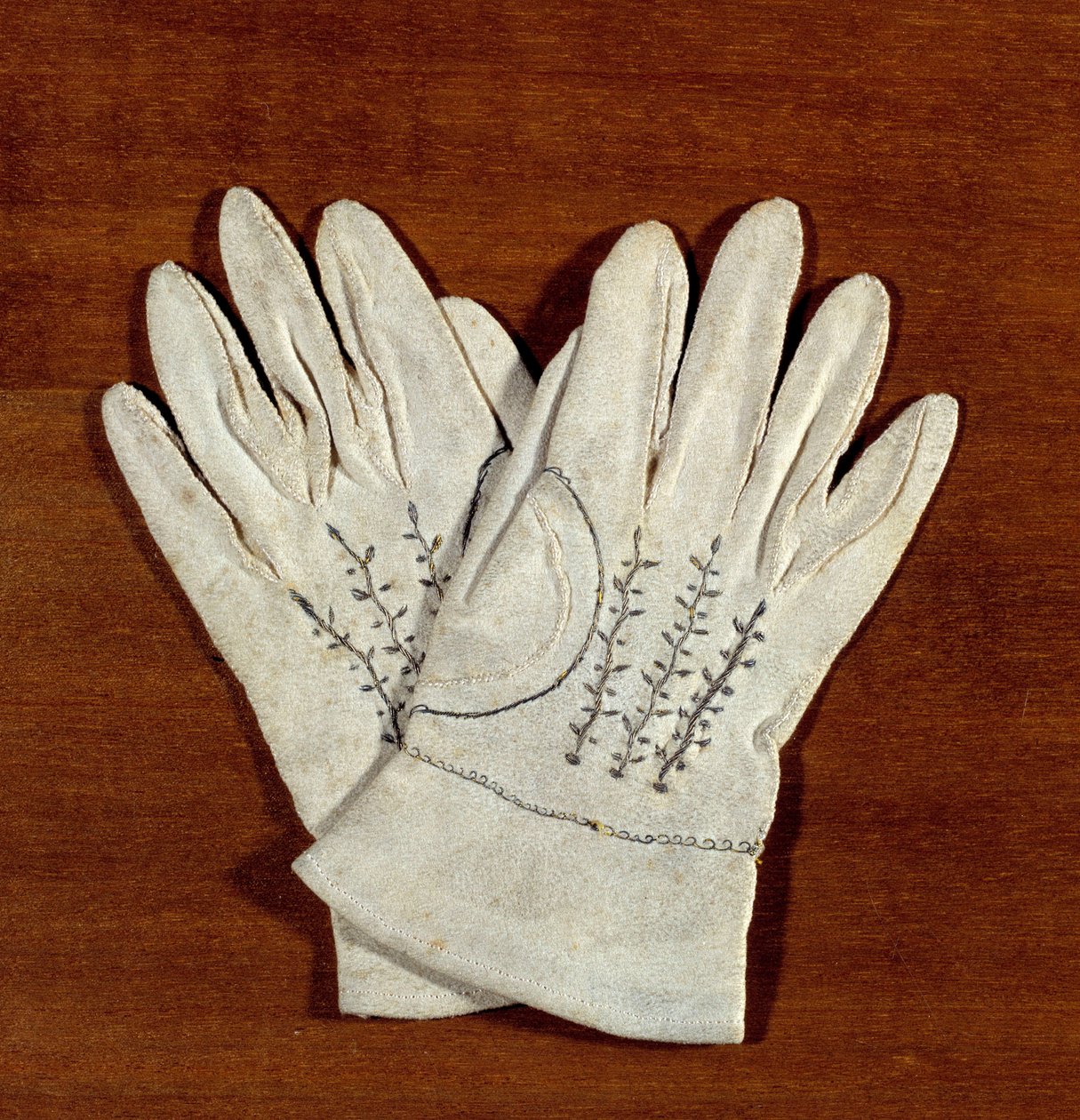 Pair of gloves of Napoleon II King of Rome (1811-1832), son of Emperor Napoleon I (1769-1821) 作者 未知艺术家