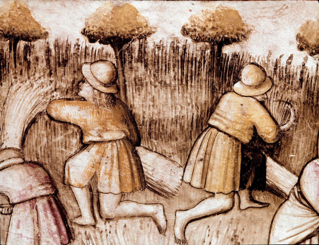 农民割草 bles 手抄本 212（或帕多瓦诺抄本或帕多瓦圣经）1390-1400 Rovigo, Accademia dei Concordi 的缩影 作者 未知艺术家