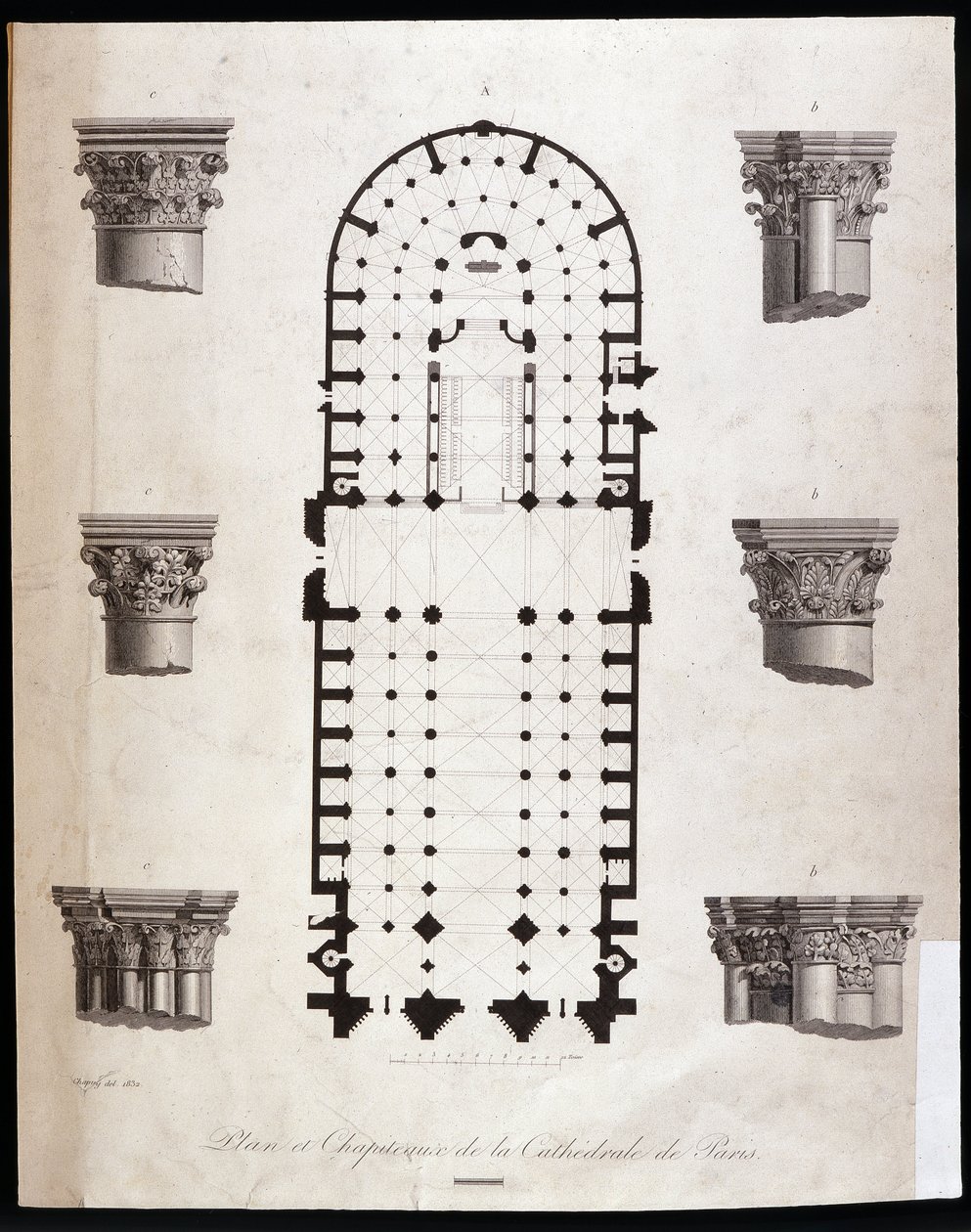 Plan and capitals of the cathedrale Notre Dame (Notre-Dame) in Paris. 19th century. 作者 未知艺术家